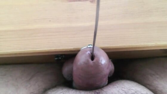 Sounding and cumming through penis plug