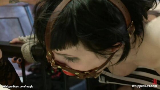 Three lesbians anal fucking in bondage