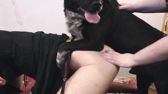 Caledonian - Brandi Loves Scoopi