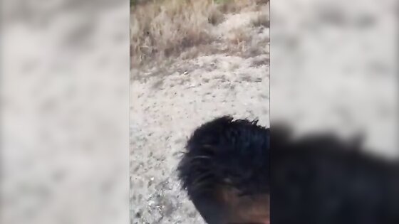 Beach Head with Cum