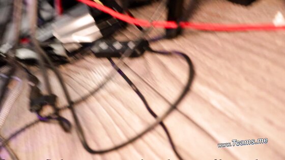 Duo Trans Entwined in Pleasure