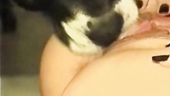 BFI - Fetish Dog