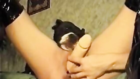 BFI - Fetish Dog
