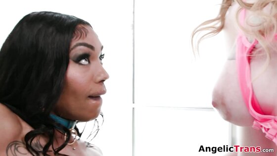 Let me anal bang that tgirl ass of yours