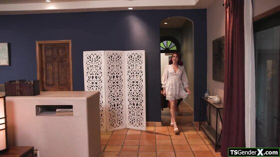 Tgirl really wants her guest to anal her