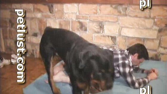 Big Black Dog Fucks Gay Asshole