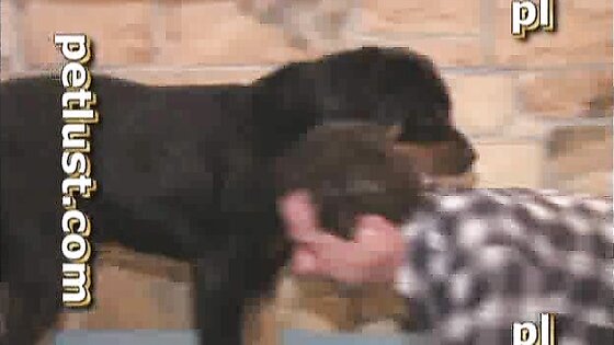 Big Black Dog Fucks Gay Asshole