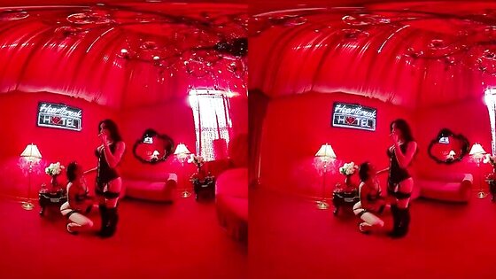 Hot Shemale Fucks Her Brunette Bitch