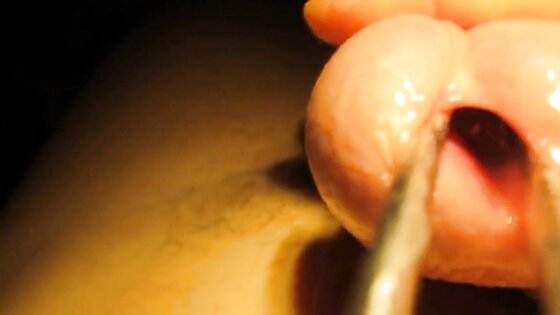 Urethral sounding and stretching with cumshot