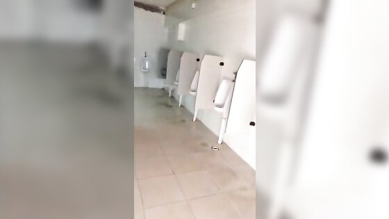 Risky wank in public bathroom