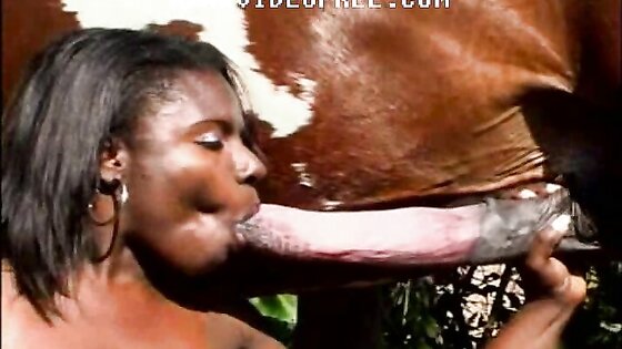 Horse Fucks Ebony Ass