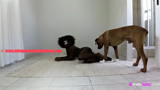 Dog Fucks Ebony Pussy