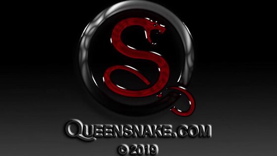 Queen Snake -Pinned Down