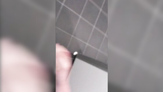 German Public Restroom Wank And Cum