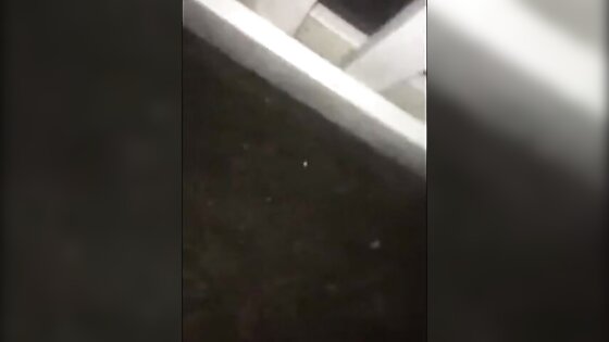 letzes Jahr im Sommer