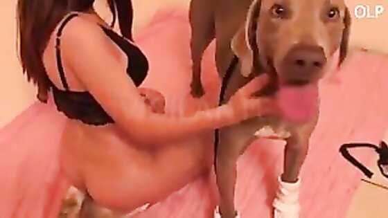 Dog Fucks Masked Brunette