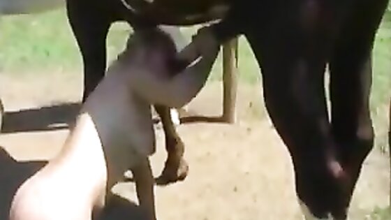 Blonde Horse Anal