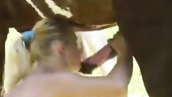 Blonde Horse Anal