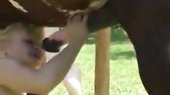 Blonde Horse Anal